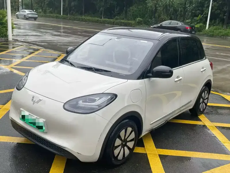 Wuling Bingo, 2024