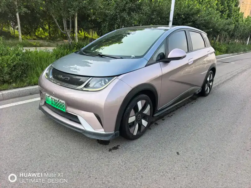 BYD Dolphin, 2022