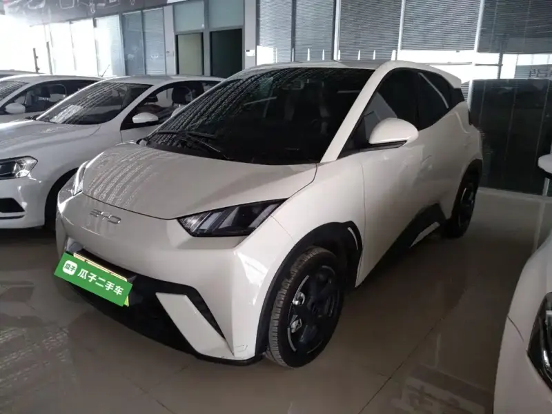 BYD Seagull, 2024