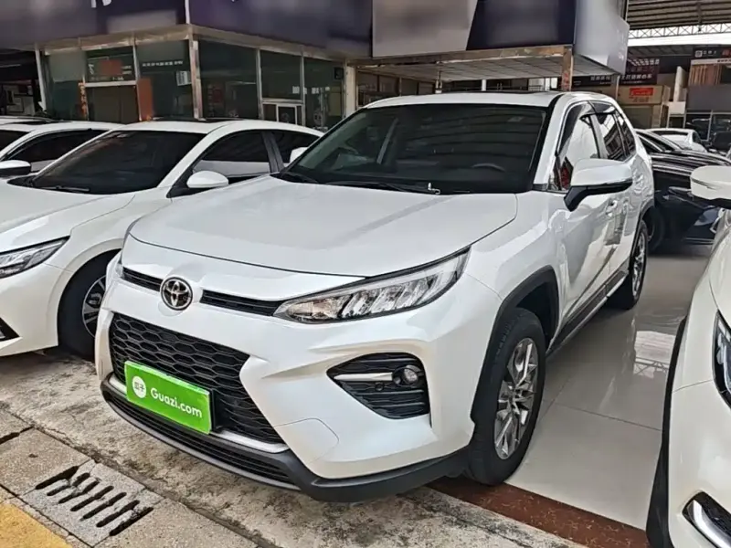 Toyota Wildlander, 2020