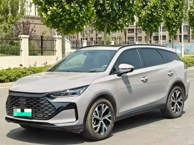 BYD Tang New Energy, 2024