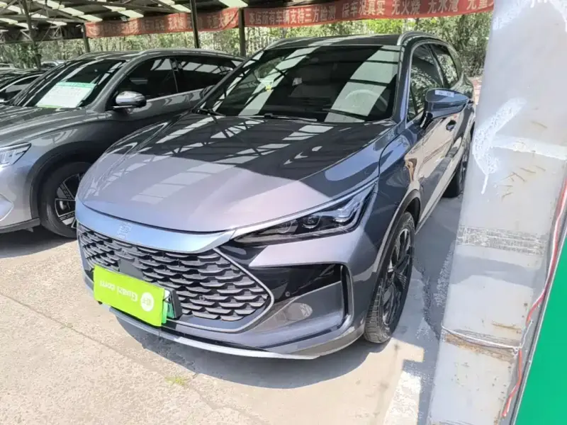 BYD Tang New Energy, 2024