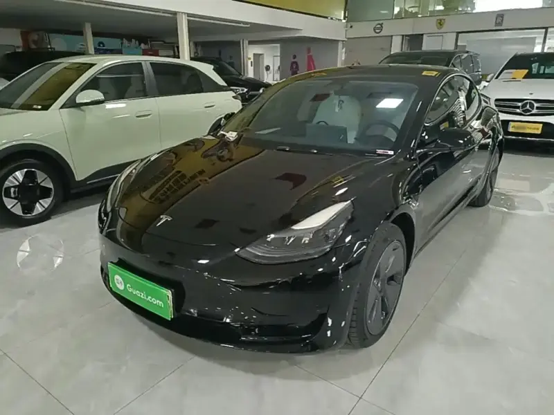 Tesla Model 3, 2023