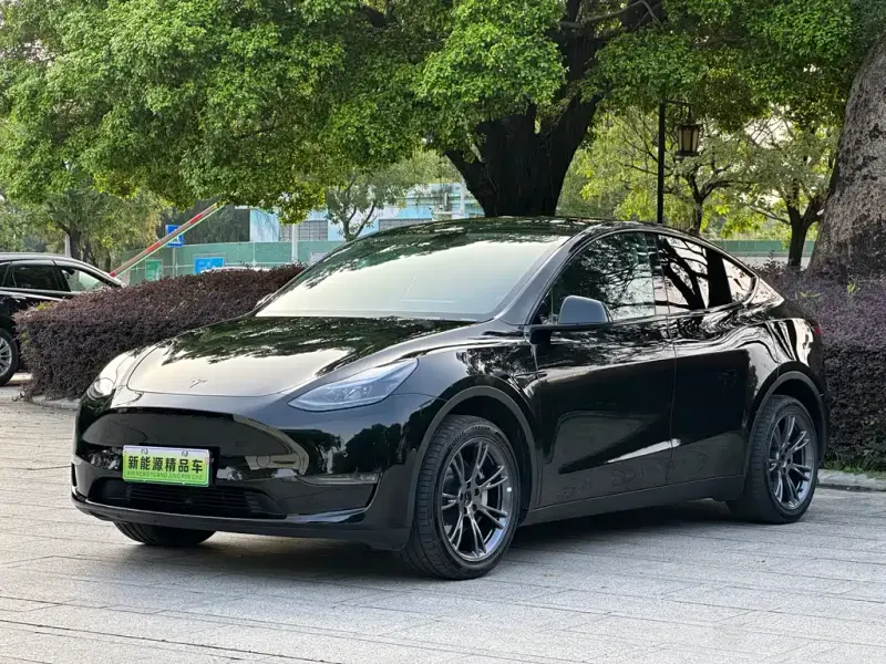 Tesla Model Y, 2024