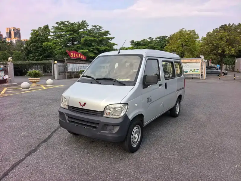 Wuling Zhiguang, 2020