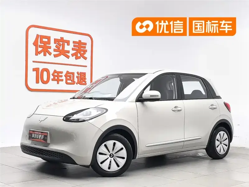 Wuling Bingo, 2024