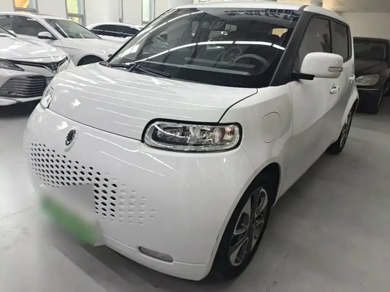 Ora White Cat, 2021