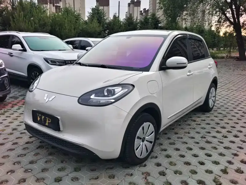 Wuling Bingo, 2024