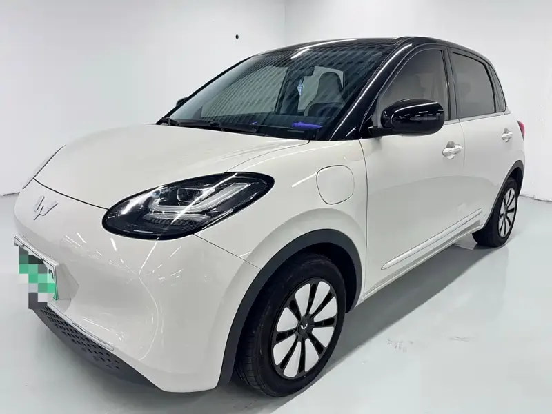 Wuling Bingo, 2023