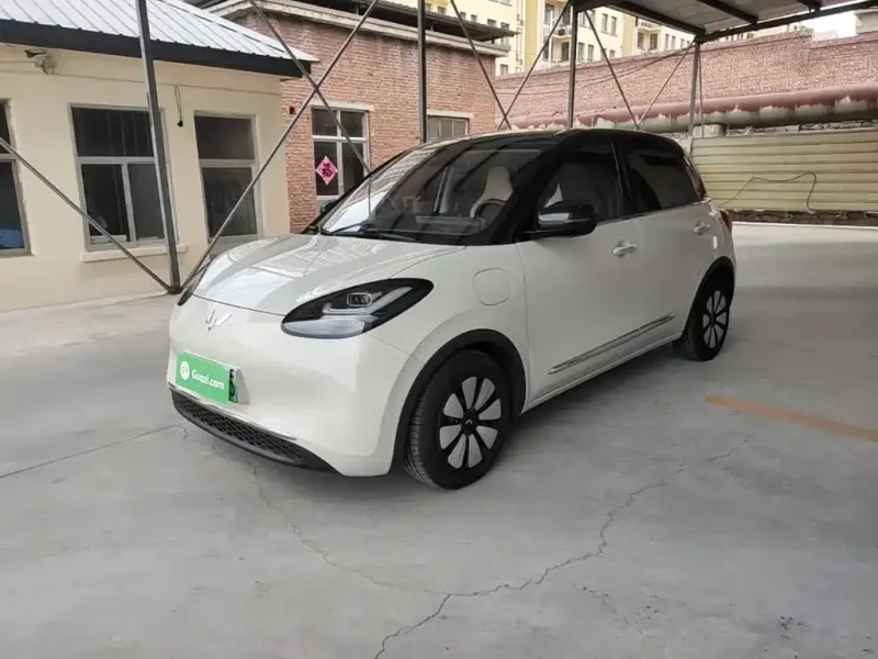 Wuling Bingo, 2023
