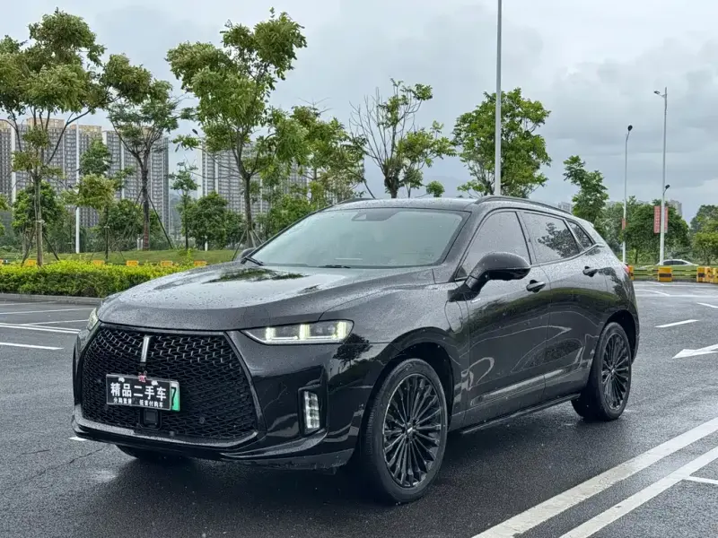 Wey P8, 2018