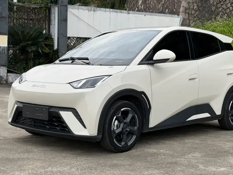BYD Seagull, 2023