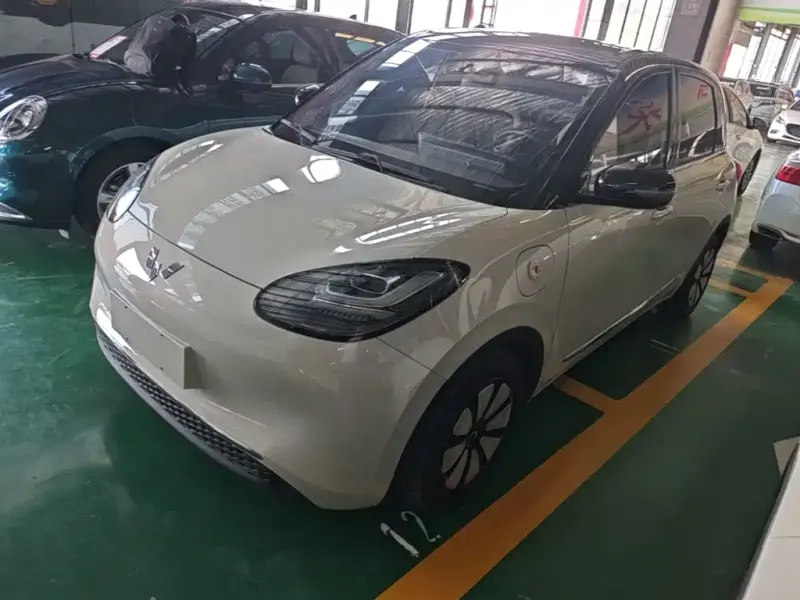 Wuling Bingo, 2023