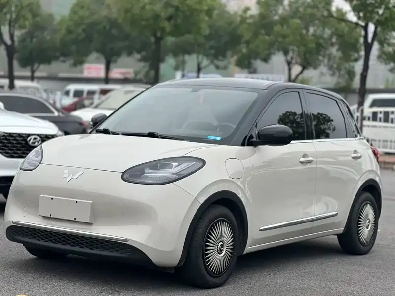 Wuling Bingo, 2024