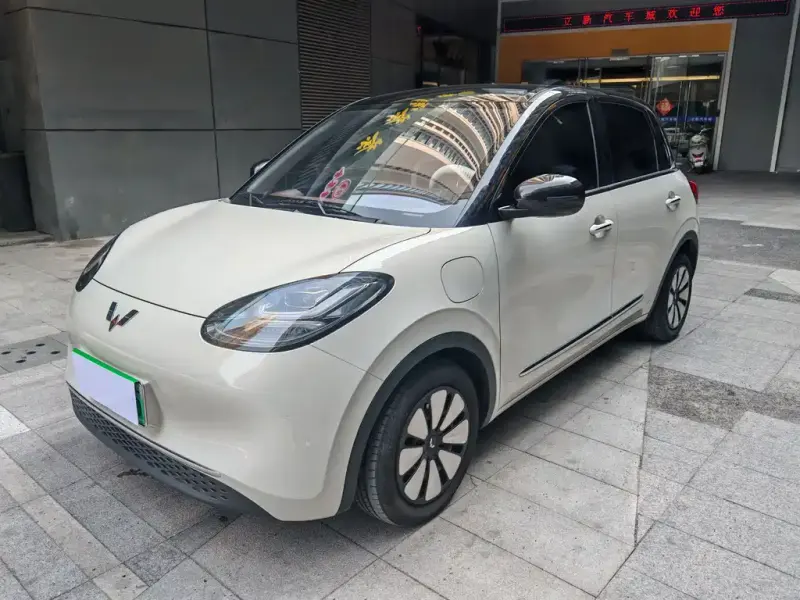 Wuling Bingo, 2024