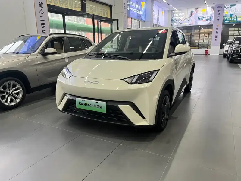 BYD Seagull, 2024