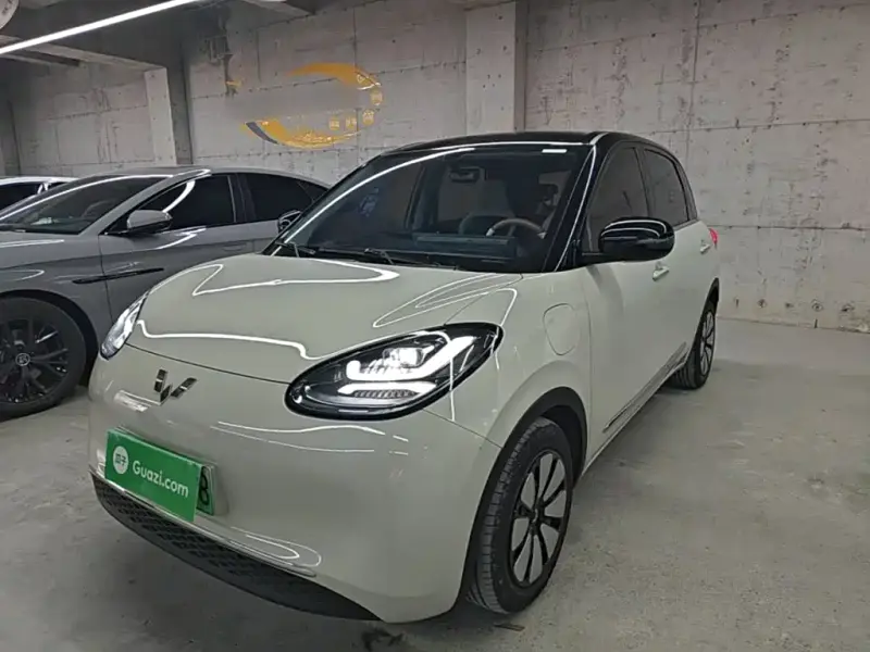 Wuling Bingo, 2024