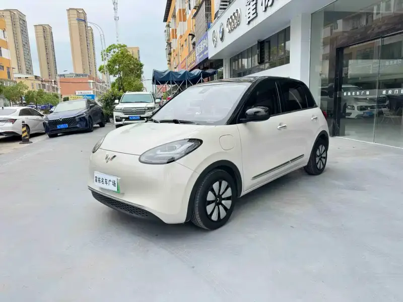 Wuling Bingo, 2023