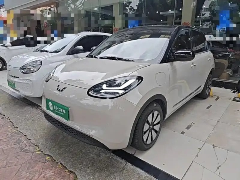 Wuling Bingo, 2024
