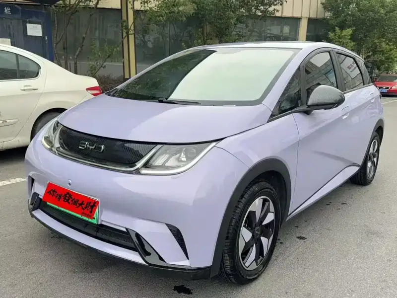 BYD Dolphin, 2024