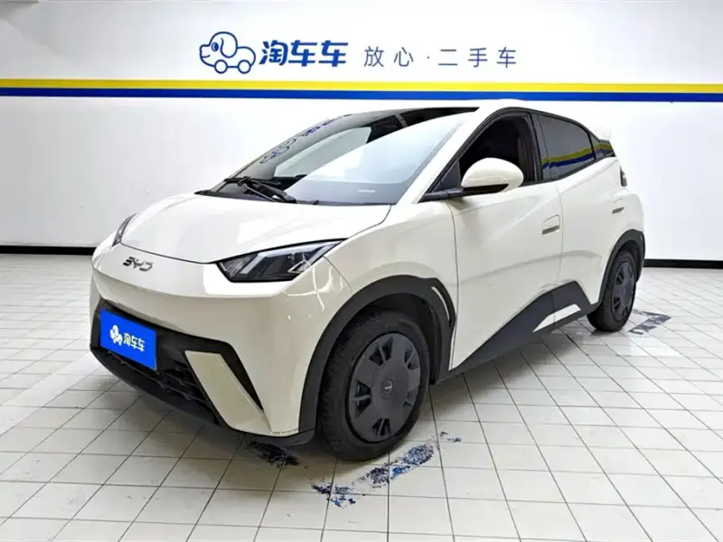 BYD Seagull, 2025