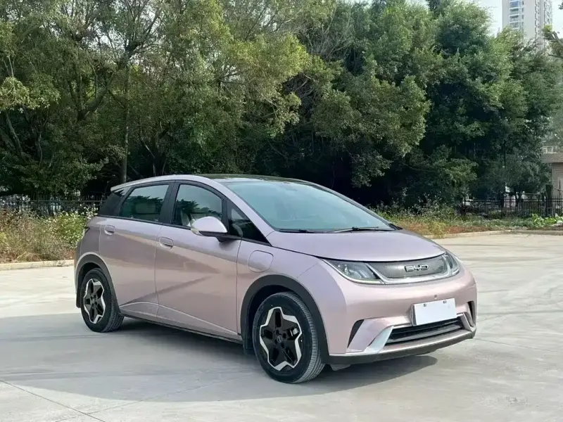 BYD Dolphin, 2022