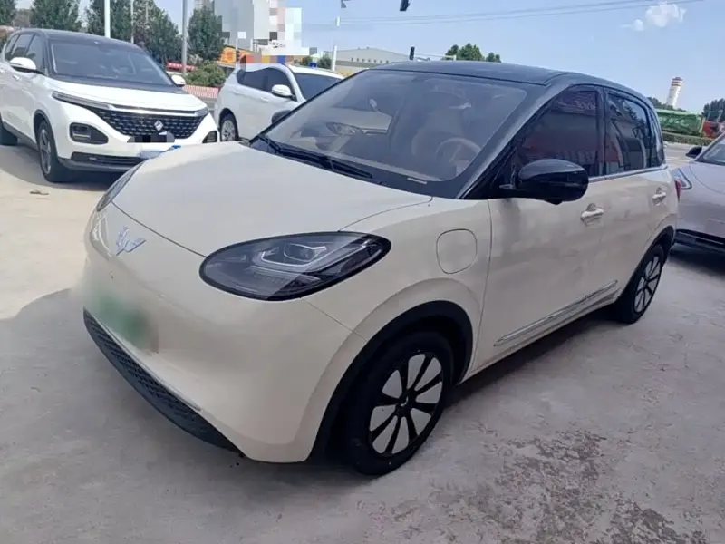 Wuling Bingo, 2025