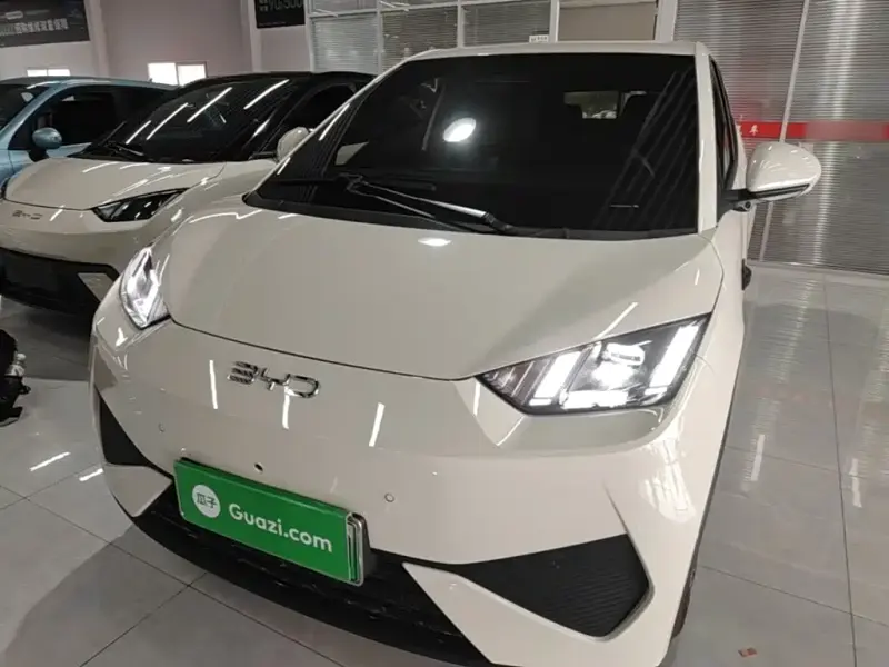 BYD Seagull, 2025