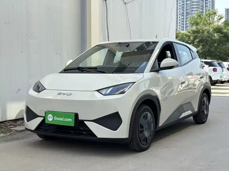BYD Seagull, 2026