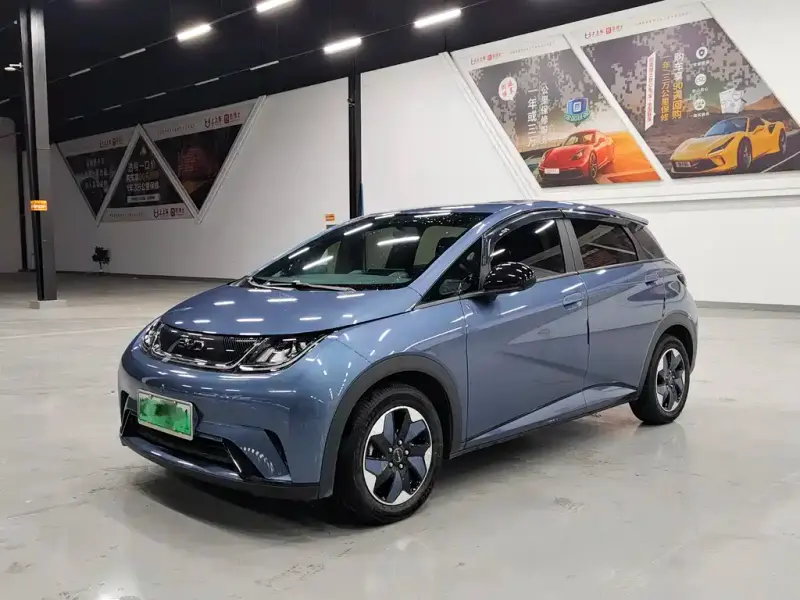 BYD Dolphin, 2024