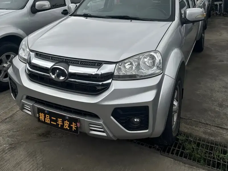 Great Wall Fengjun 5, 2021