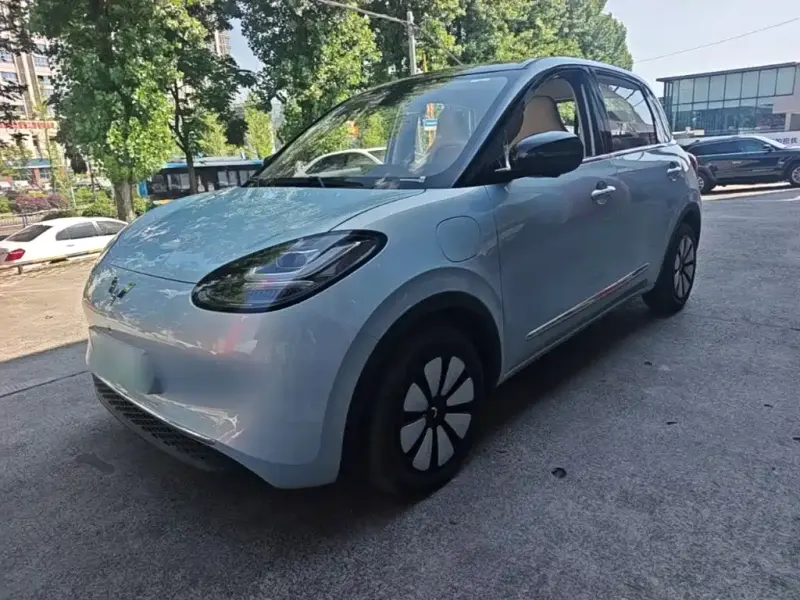 Wuling Bingo, 2026