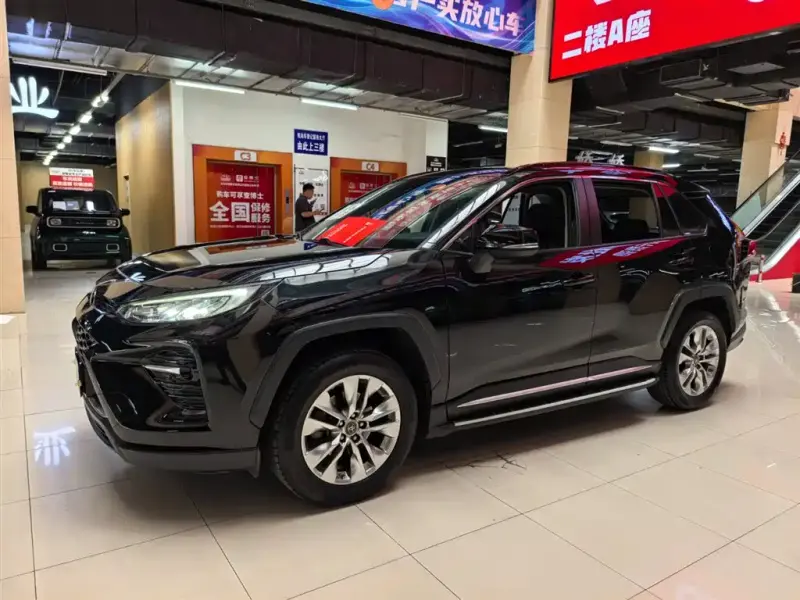 Toyota Wildlander, 2020