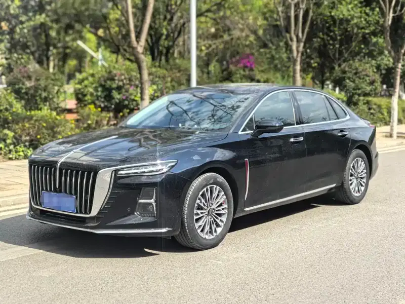 Hongqi H5, 2024