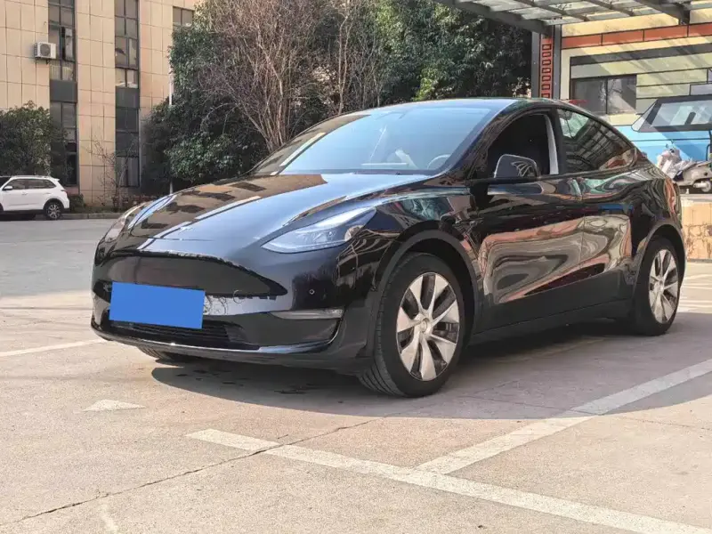 Tesla Model Y, 2021