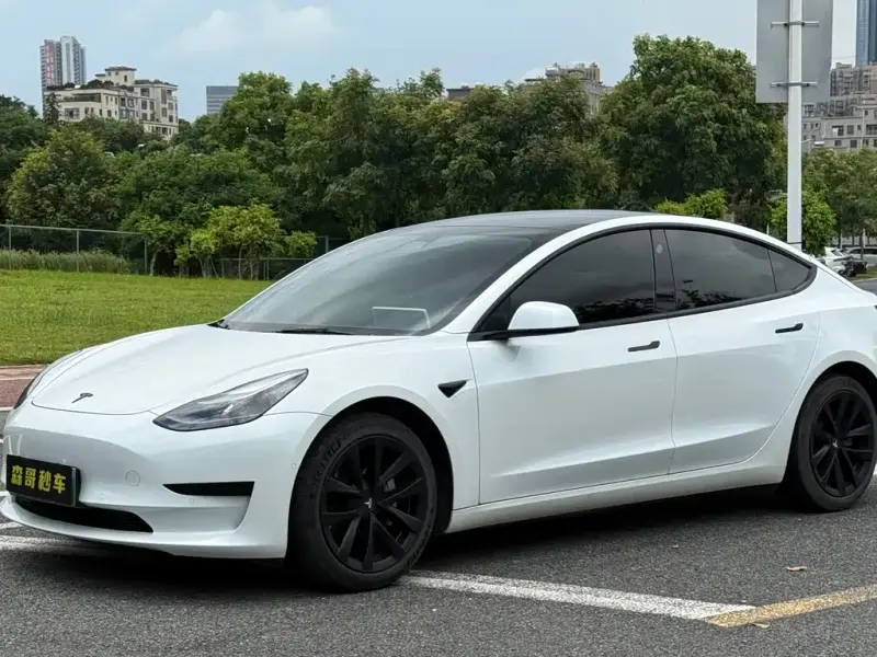 Tesla Model 3, 2021