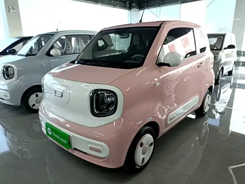 Bestune Pony, 2024