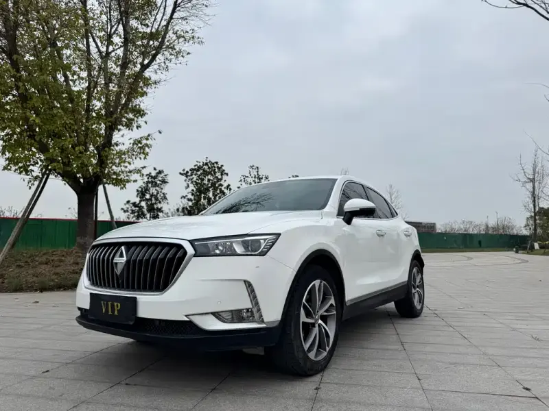 Borgward BX6, 2019