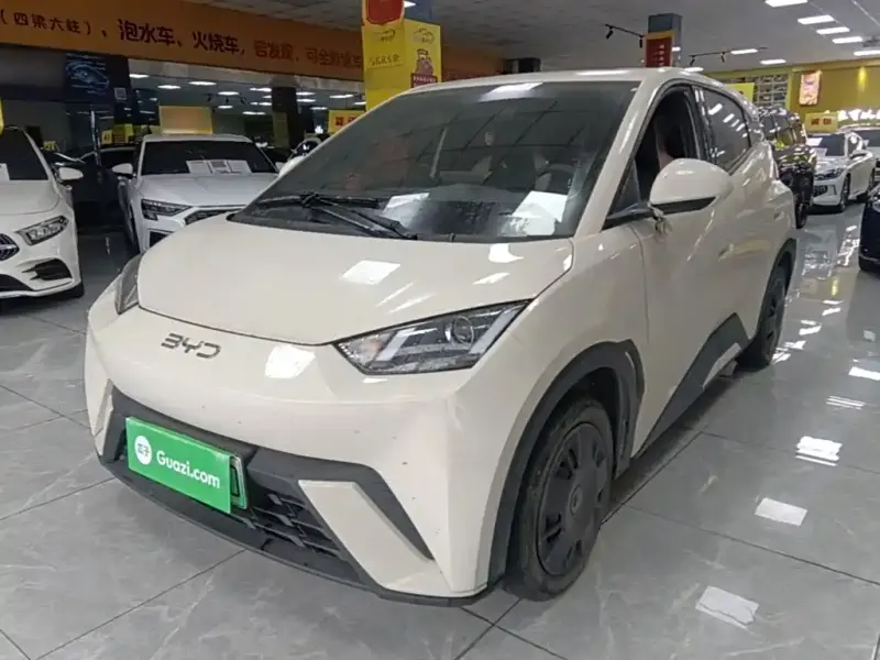 BYD Seagull, 2024