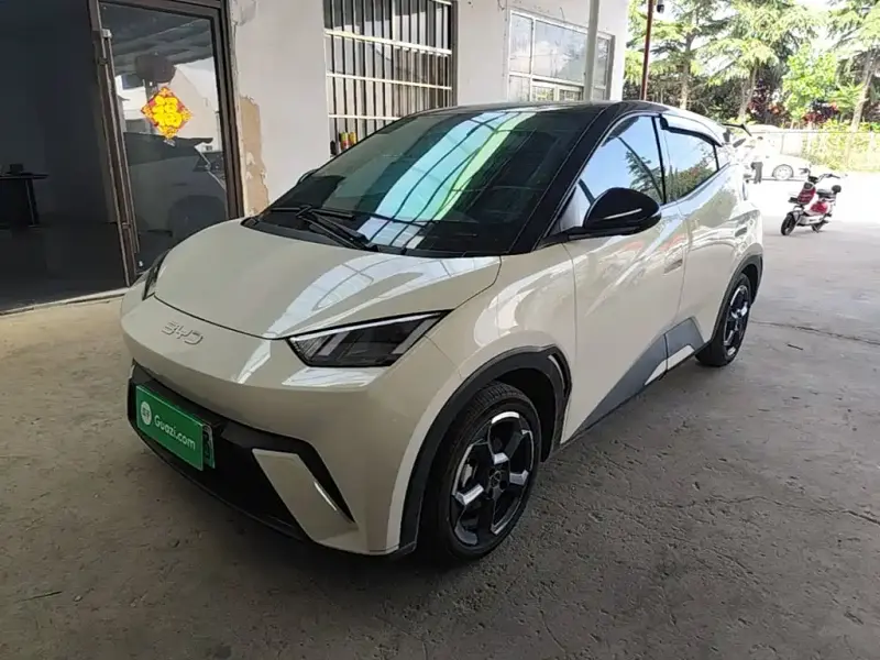 BYD Seagull, 2024