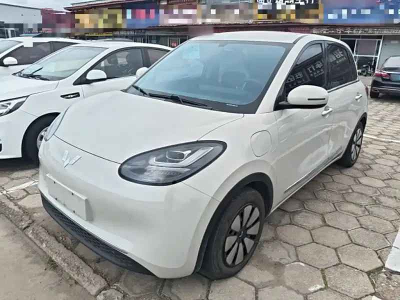 Wuling Bingo, 2025