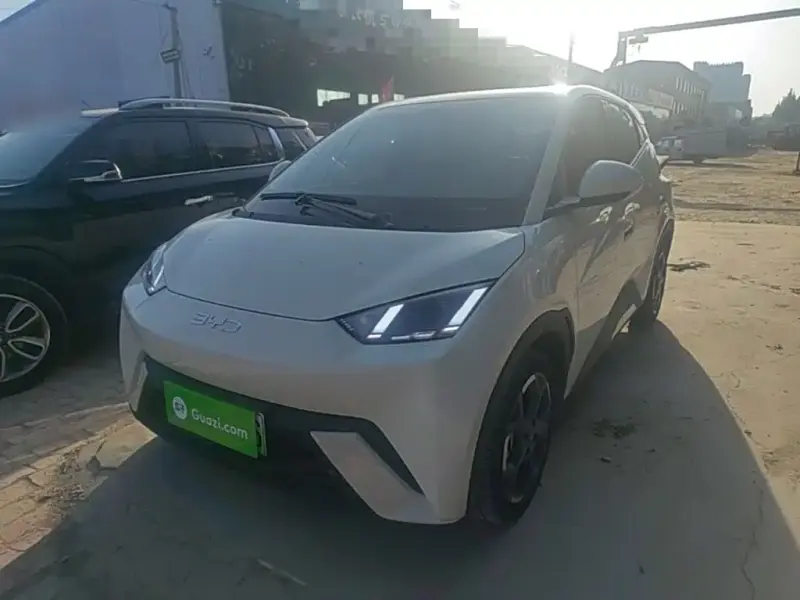 BYD Seagull, 2024