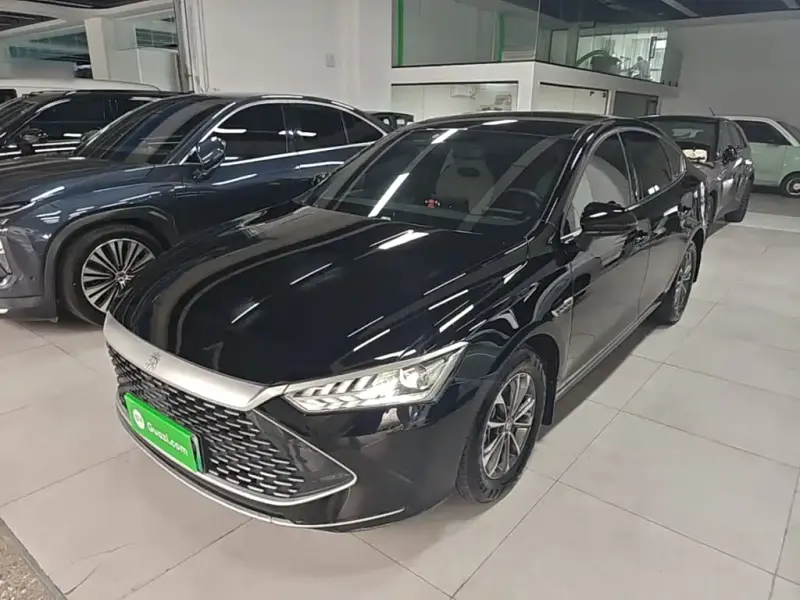 BYD Qin PLUS, 2024