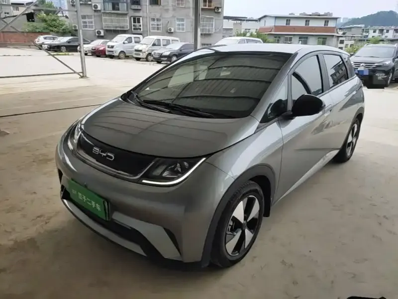 BYD Dolphin, 2023