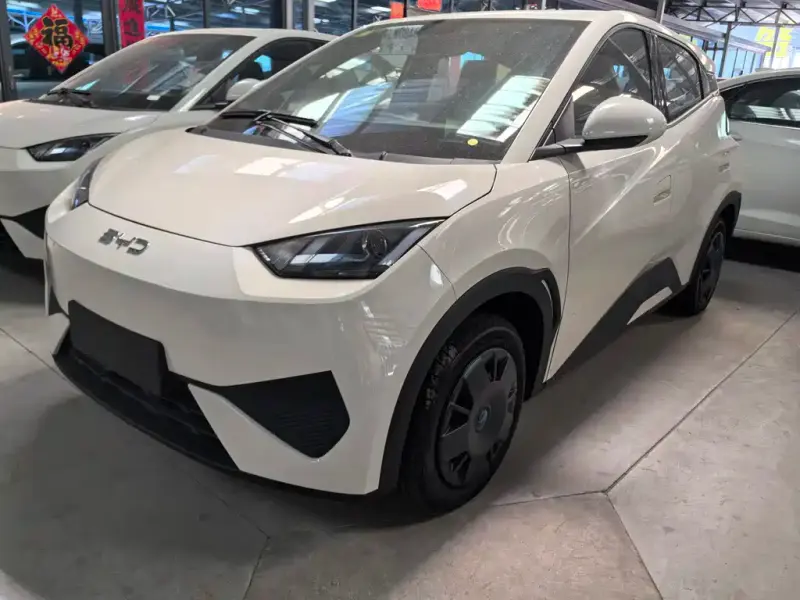 BYD Seagull, 2026