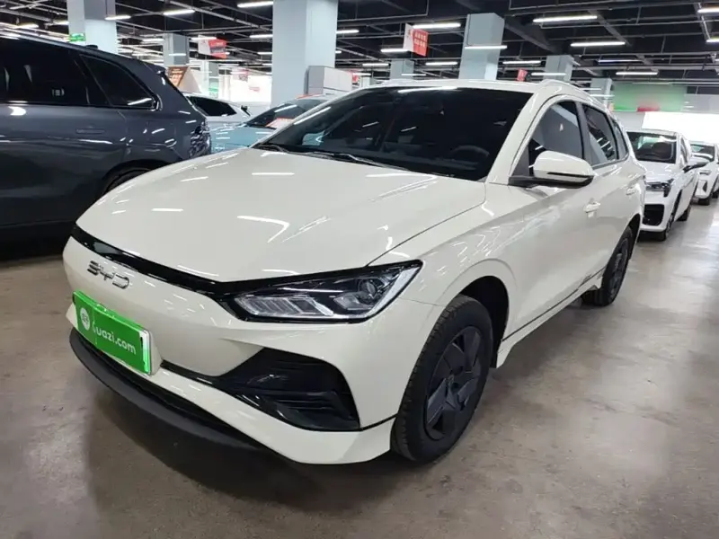 BYD e2, 2024