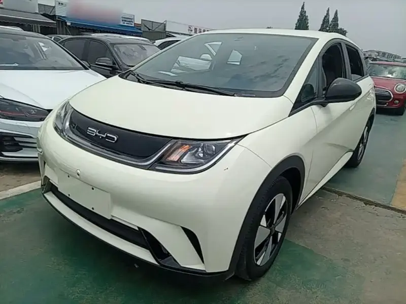 BYD Dolphin, 2023