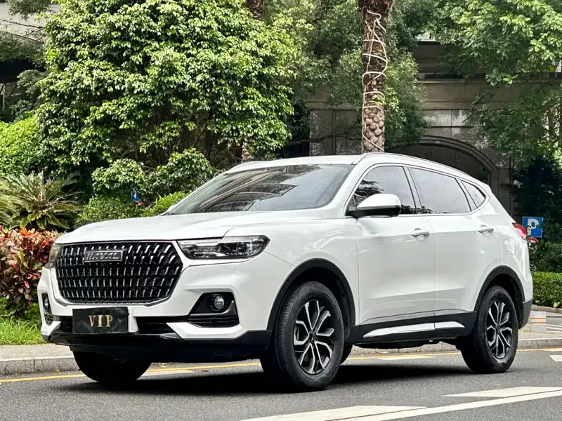 Haval H6, 2024
