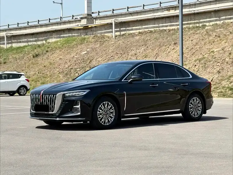 Hongqi H5, 2024