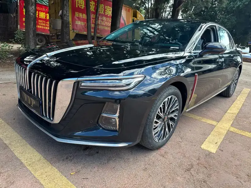 Hongqi H5, 2024